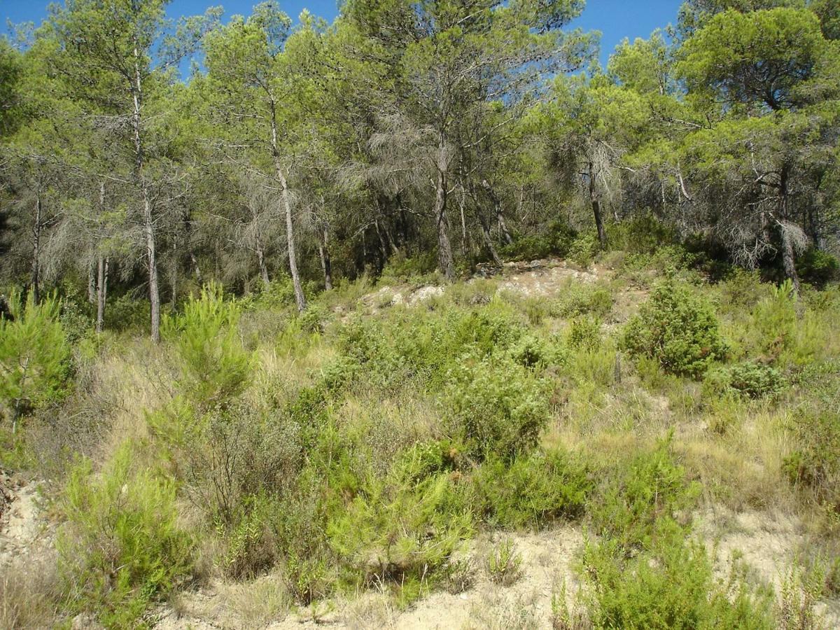 En Pleine Nature, Calme, La Maison De Jade, Chambre Climatisee Coustouge エクステリア 写真