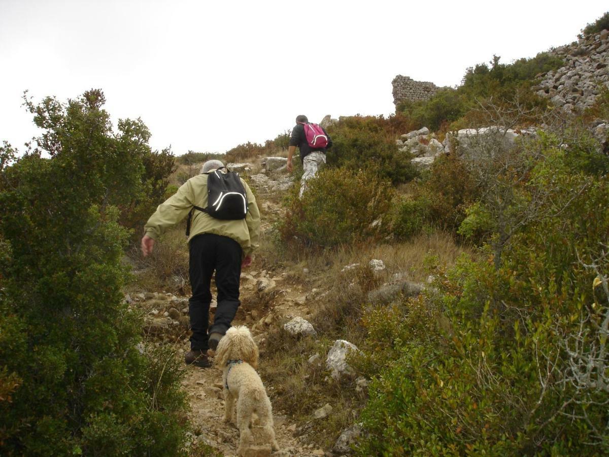 En Pleine Nature, Calme, La Maison De Jade, Chambre Climatisee Coustouge エクステリア 写真